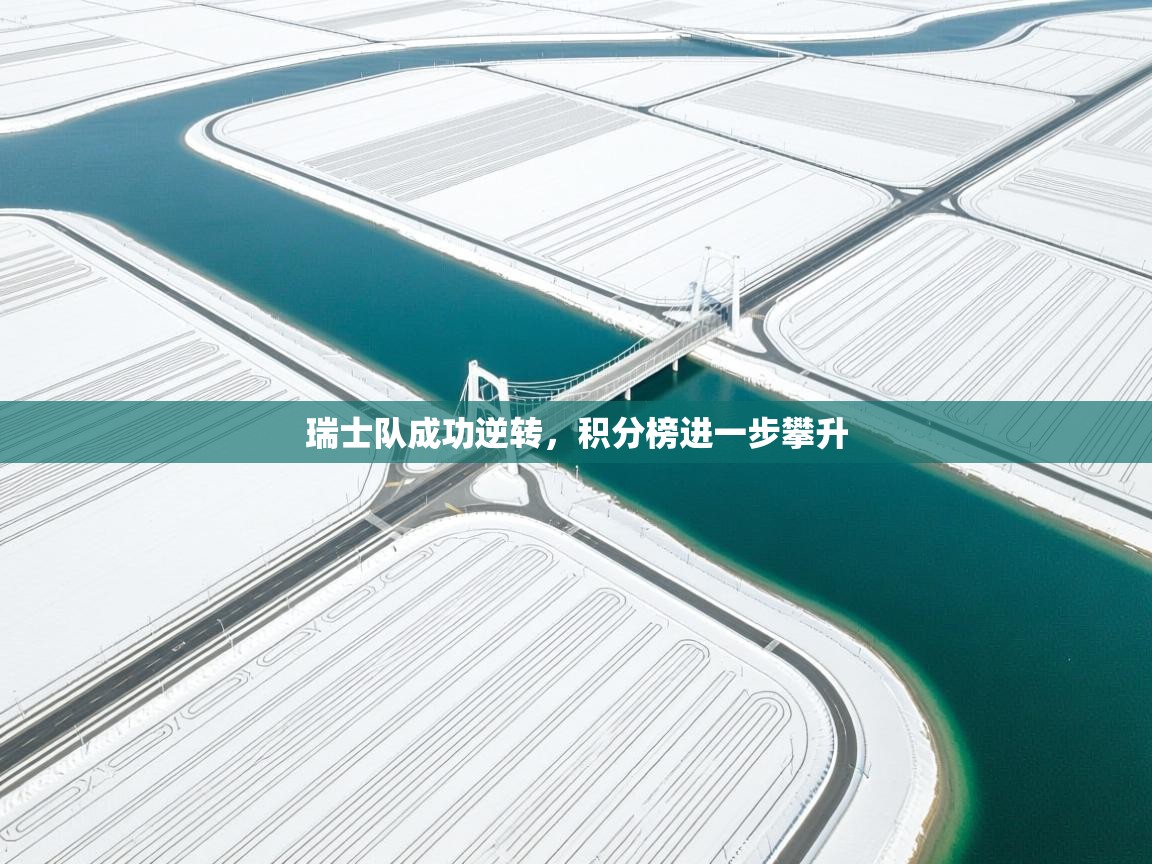 瑞士队成功逆转，积分榜进一步攀升  第1张